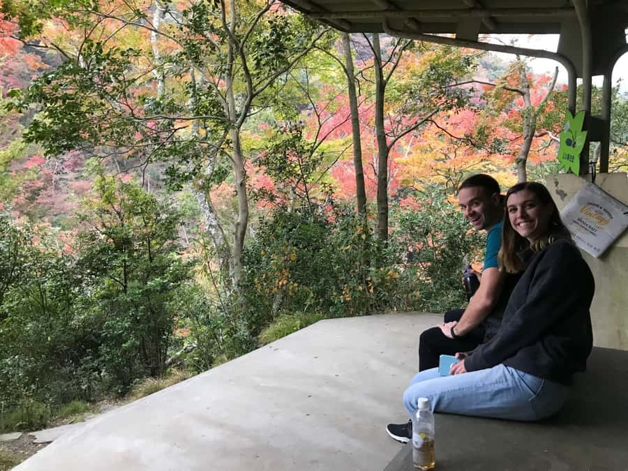Osaka: Mino Forest Walk and Giant Waterfall with Local Lunch - What guides add to the experience