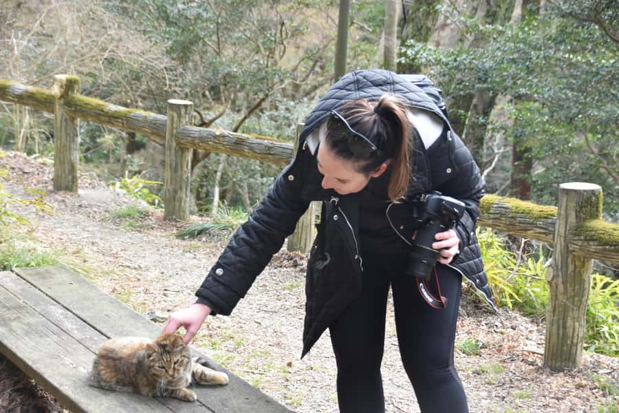 Osaka: Mino Forest Walk and Giant Waterfall with Local Lunch - Who should book this Mino outing?