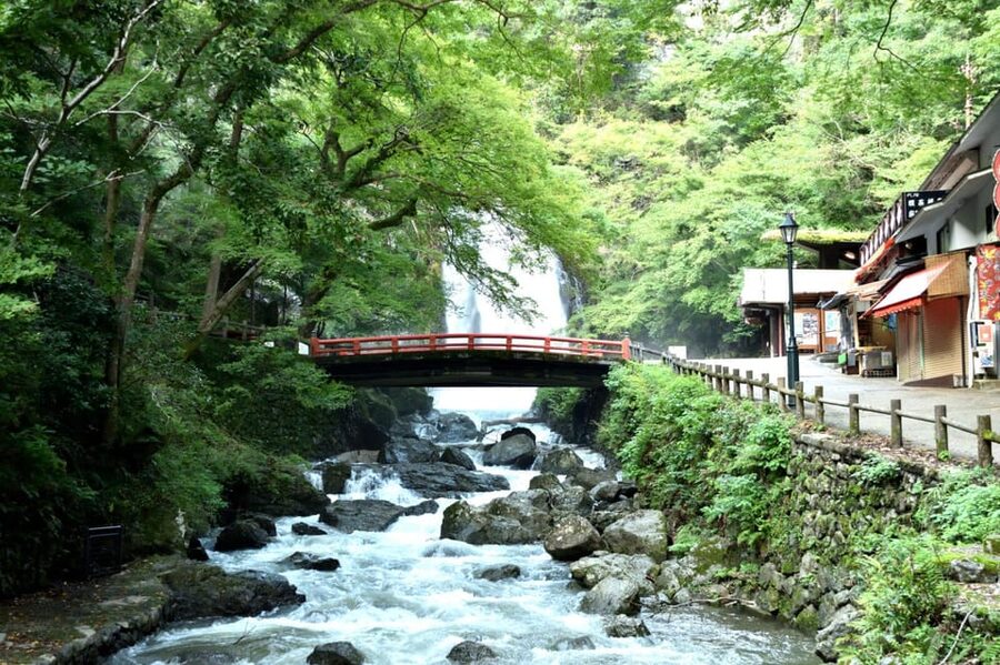 Osaka: Minoh, Katsuoji Temple, & Minoh Falls Full-day Tour - Why Katsuoji Temple is worth the trip