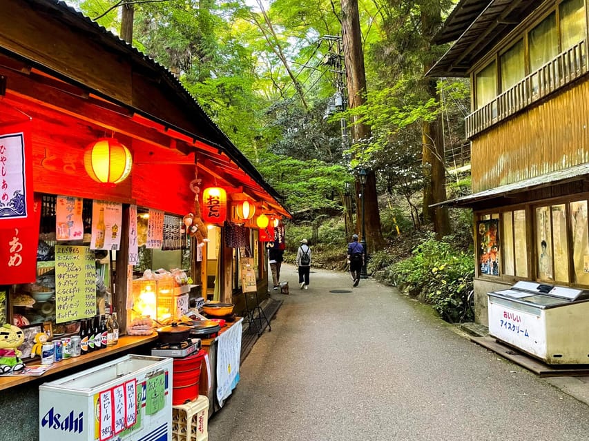 Osaka: Minoh, Katsuoji Temple, & Minoh Falls Full-day Tour - Who will enjoy this outing most?