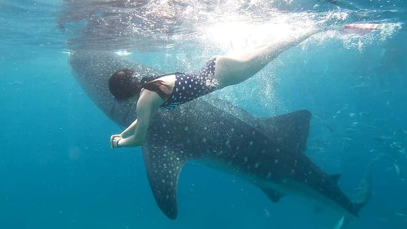 Oslob Whale Shark Swimming & Kawasan Falls Canyoneering - The breakfast and recovery break