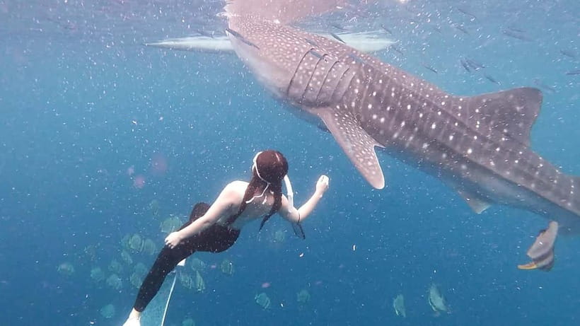 Oslob Whale Shark Swimming & Kawasan Falls Canyoneering - Kawasan Falls canyoneering: the day’s main physical test