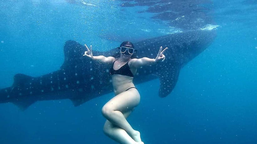 Oslob Whale Shark Swimming & Kawasan Falls Canyoneering - Transport, timing, and the real value of $106