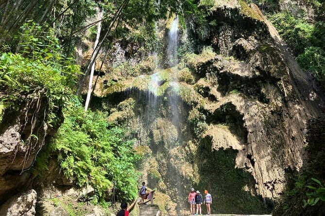 Oslob Whale Shark & Tumalog Waterfalls & Sumilon Sandbar - Why this Cebu day trip works