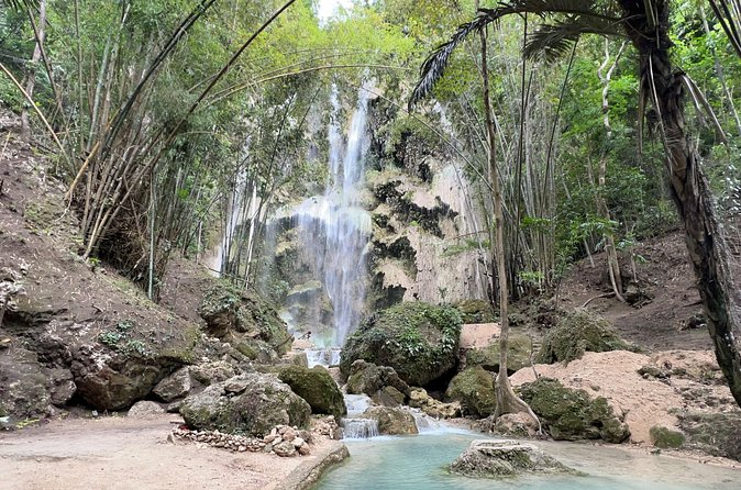 Oslob Whale Shark Watching + Kawasan Falls Day Tour - Why skipping canyoneering may be the right call
