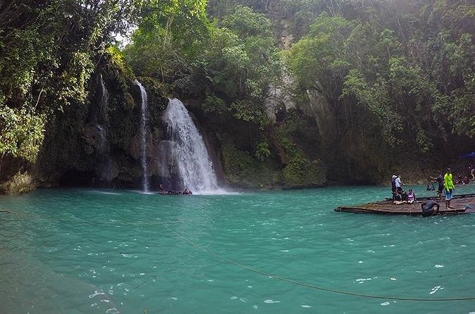 Oslob Whale Shark Watching + Kawasan Falls Day Tour - Physical demands and who should book