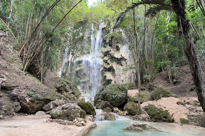 Oslob Whale Shark Watching + Kawasan Falls Day Tour - Swimming with Oslob’s whale sharks