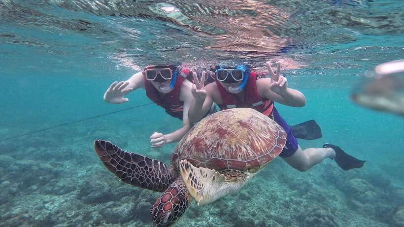 Oslob: Whale Sharks, Inambakan Falls & Moalboal Sardines - FAQ