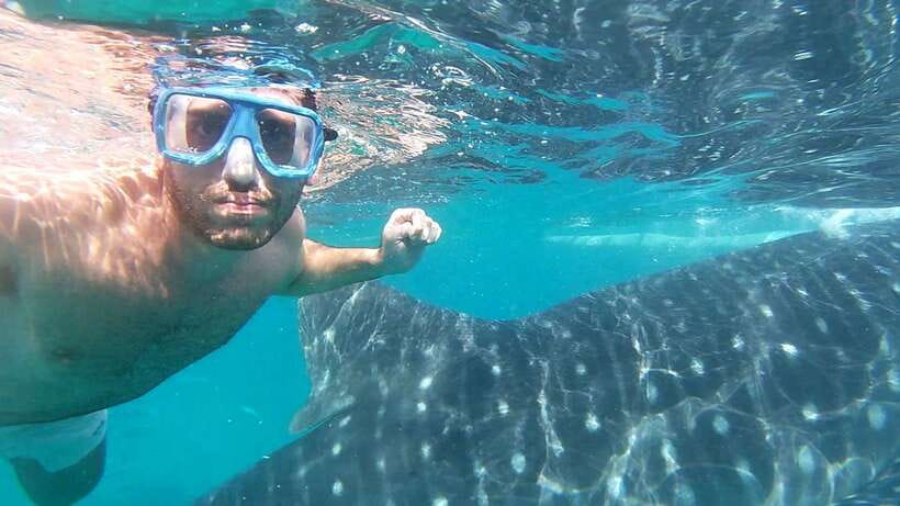Oslob: Whale Sharks, Inambakan Falls & Moalboal Sardines - A 3:00 am start sets the tone