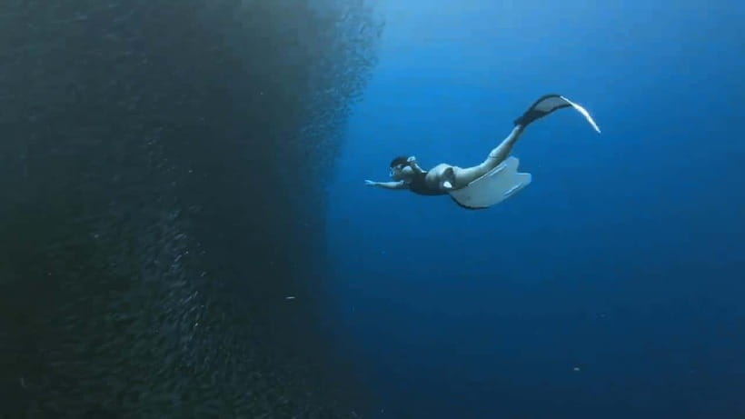 Oslob: Whale Sharks, Inambakan Falls & Moalboal Sardines - Who will enjoy this Cebu day trip?