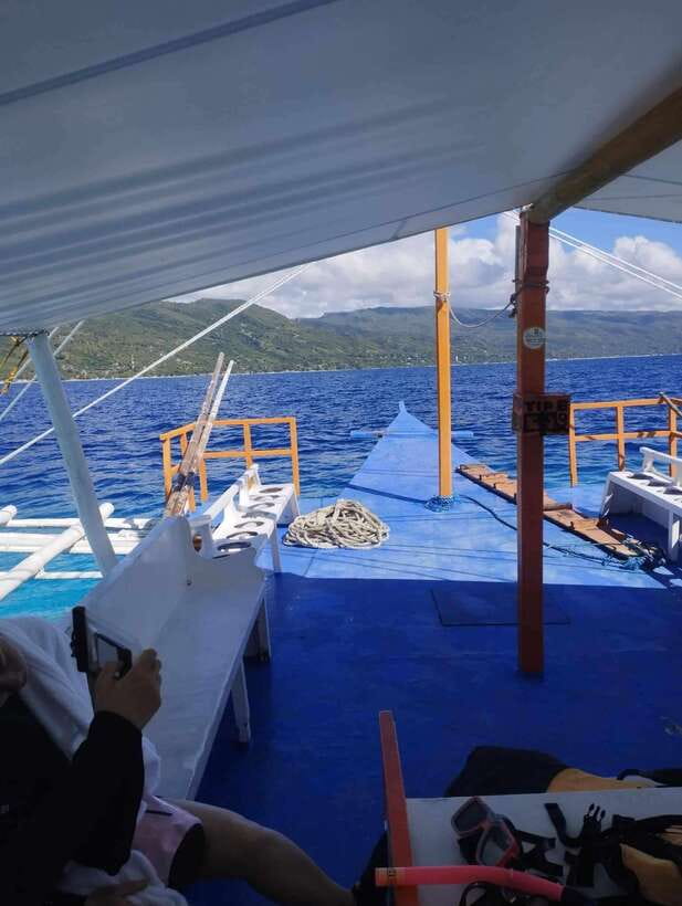 Oslob: Whale Sharks, Tumalog Falls & Sumilon Trio Adventure - The early start and the long road south