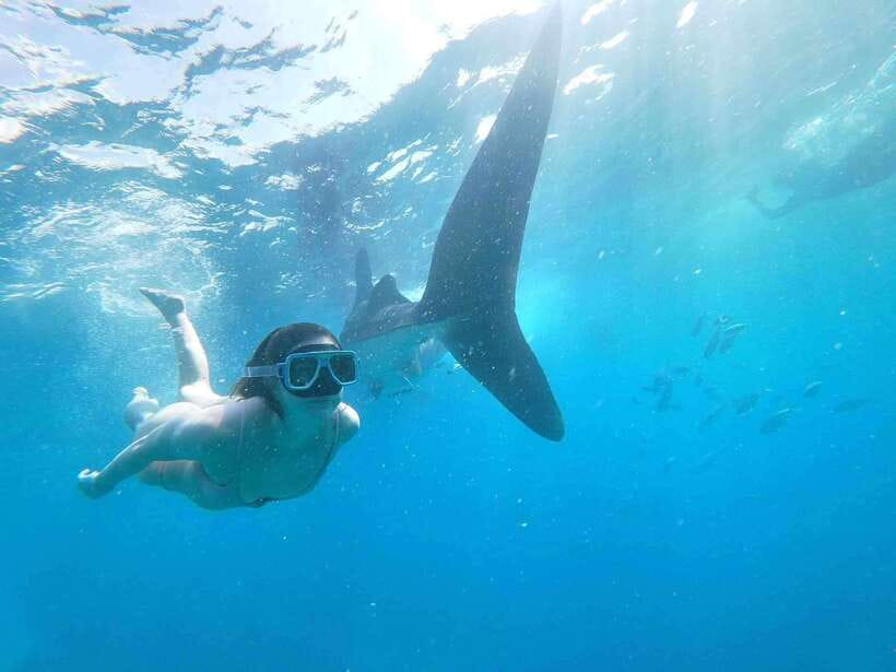 Oslob: Whale Sharks, Tumalog Falls & Sumilon Trio Adventure - Tumalog Falls brings cool water and forest shade