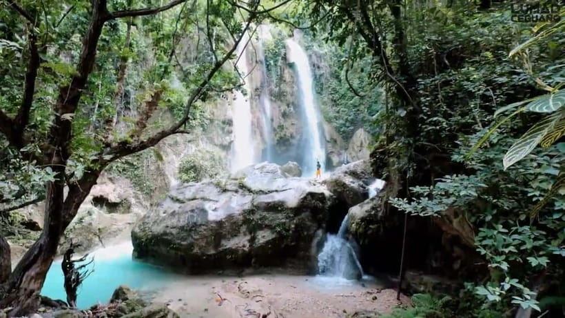 Oslob: Whaleshark Swimming, Inambakan Falls & Moalboal Tour - Is $90 per person a fair price?