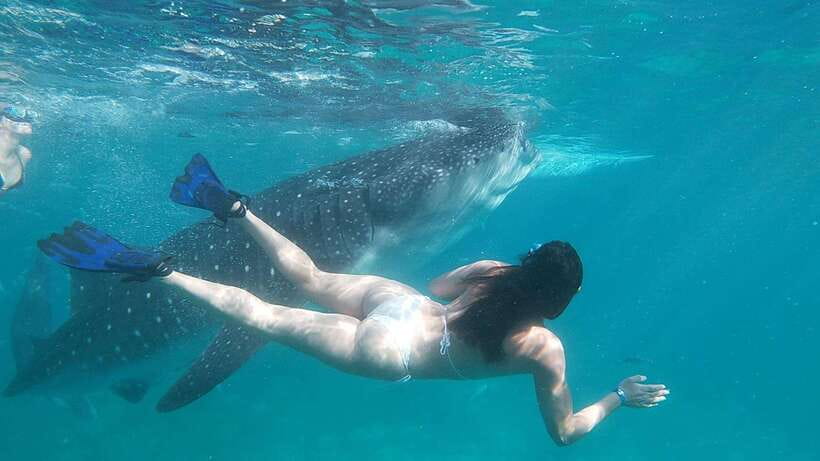Oslob: Whaleshark Swimming, Tumalog Falls & Sumilon Island - Tumalog Falls: A Cooler Change of Pace