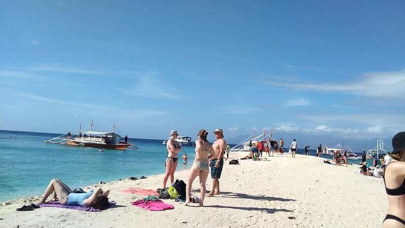 Oslob: Whaleshark Swimming, Tumalog Falls & Sumilon Island - What the $112 Price Really Buys