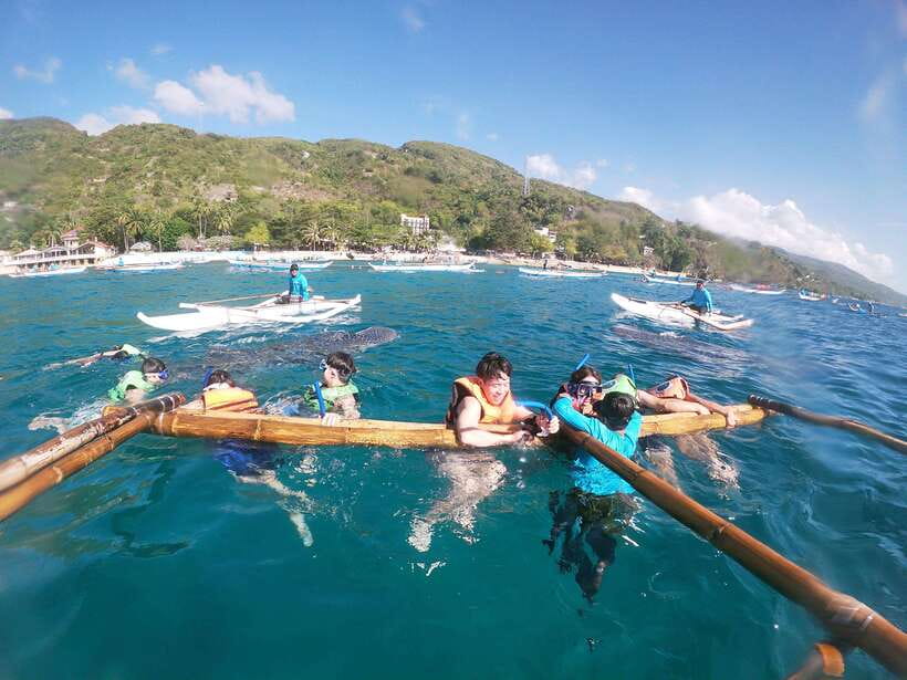 Oslob: Whaleshark Swimming, Tumalog Falls & Sumilon Island - The Guide Makes a Big Difference