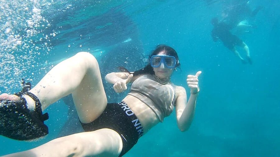 Oslob: Whaleshark Swimming, Tumalog Falls & Sumilon Island - Who Should Book This Day Trip?