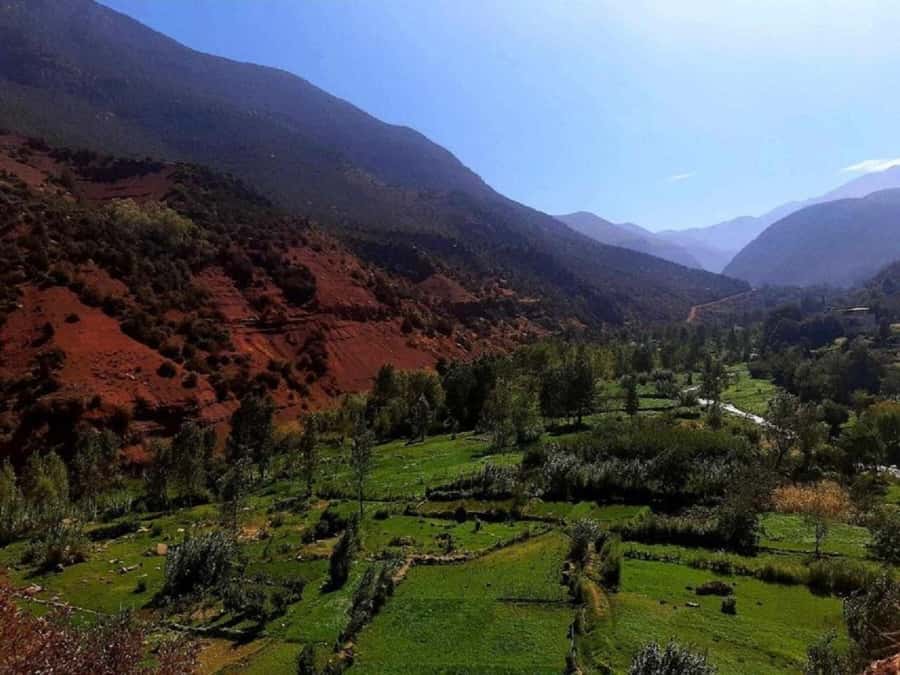 Ourika Valley, Atlas Mountain, Waterfalls - Should you book the Ourika Valley excursion?
