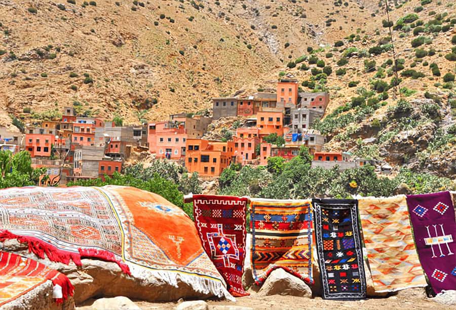 Ourika Valley, Atlas Mountains, Waterfalls & Guided Tour - The Argan oil cooperative: useful, but allow extra time