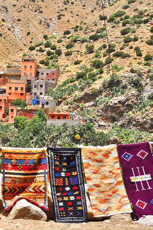 Ourika Valley, Atlas Mountains, Waterfalls & Guided Tour - Guides, languages, and the small-group advantage