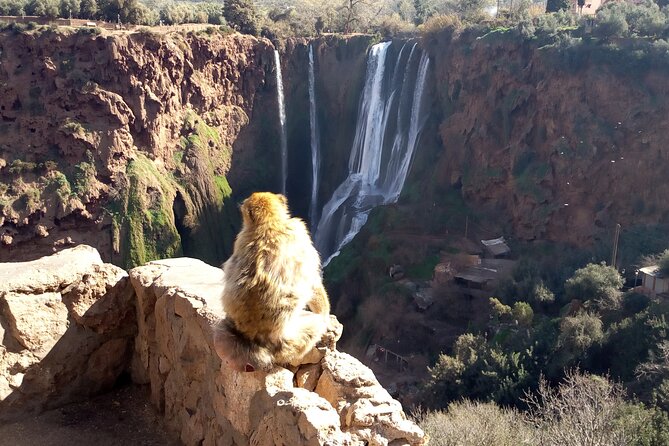 Ouzoud Waterfalls Full Day Trip From Marrakech - Who will enjoy this day trip most
