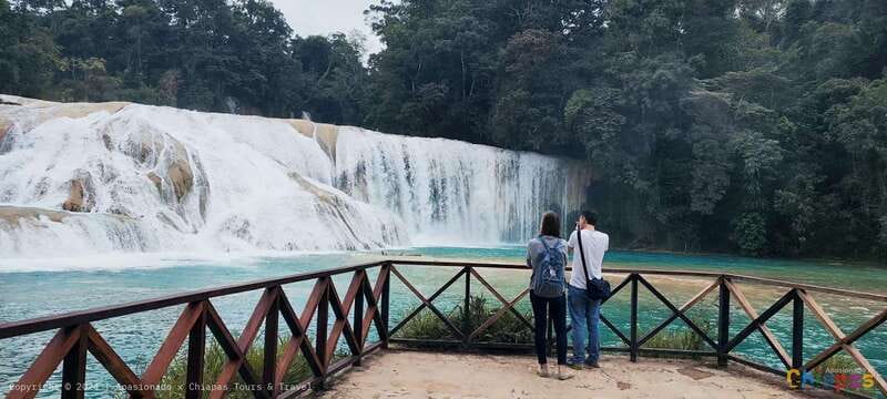 Palenque: Palenque Ruins, Agua Azul Waterfalls and Misol-Ha - Key points at a glance