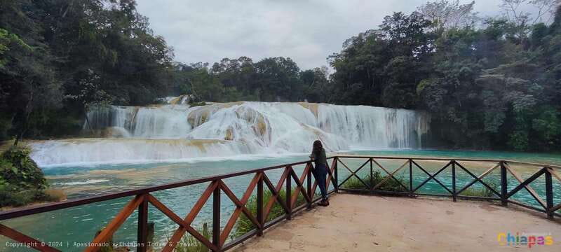 Palenque: Palenque Ruins, Agua Azul Waterfalls and Misol-Ha - Misol-Ha and its 50-meter drop