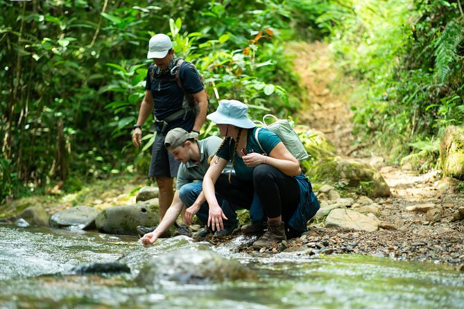 Pance Waterfalls: Hike to discover the biodiversity of the valley - 7:00 am Pickup and the Road Toward La Voragine