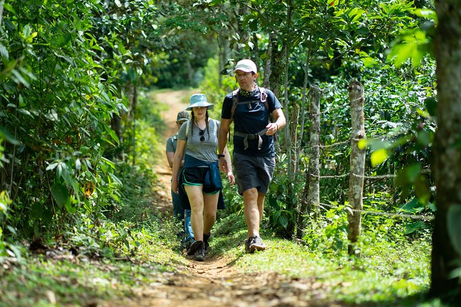 Pance Waterfalls: Hike to discover the biodiversity of the valley - The Four-Hour Hike Around Pance River