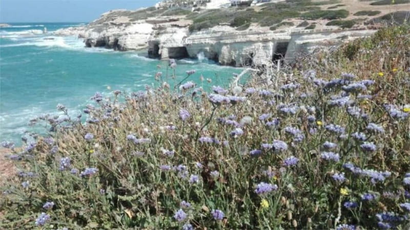 Paphos: Akamas, Waterfalls & Blue Lagoon of Aphrodite Tour - Avakas Gorge: the day’s best walk