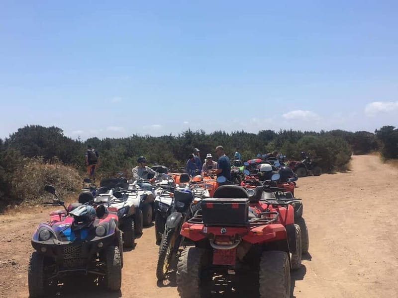 Paphos: Buggy Tour Akamas incl and Adonis Falls - Lara Bay and Turtle Bay: the best place to slow down