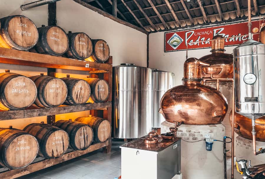 Paraty: Jungle Waterfalls and Cachaça Distillery Jeep Tour - Should you book the Paraty jeep tour?