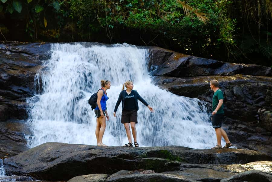 Paraty: Jungle Waterfalls and Cachaça Distillery Jeep Tour - Pedra Branca and the Atlantic rainforest