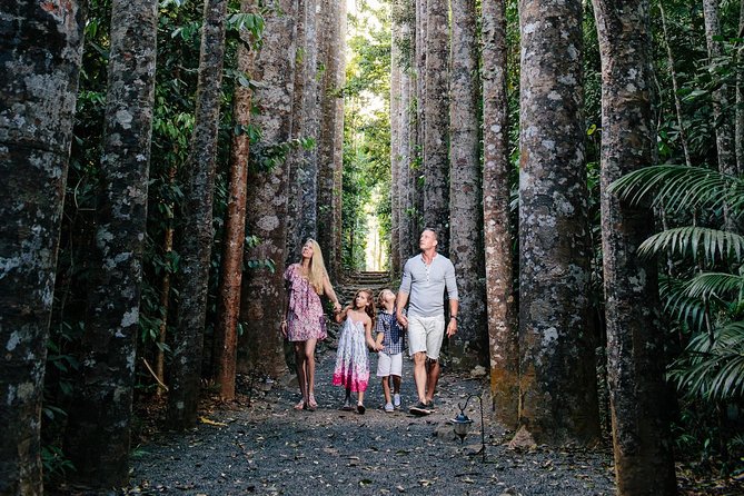 Paronella Park and Millaa Millaa Falls Full-day Tour from Cairns - Key points before you book