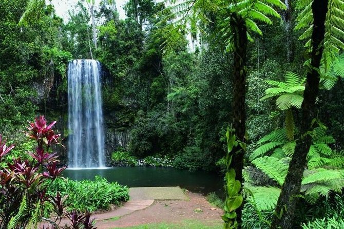 Paronella Park and Millaa Millaa Falls Full-day Tour from Cairns - Millaa Millaa Falls brings the swim option