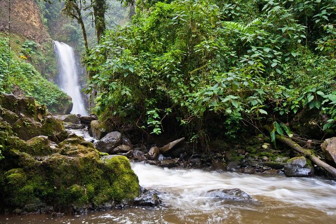 Poas Volcano + Coffee Plantations & La Paz Waterfall Gardens Trip from San Jose - Key points to know before booking