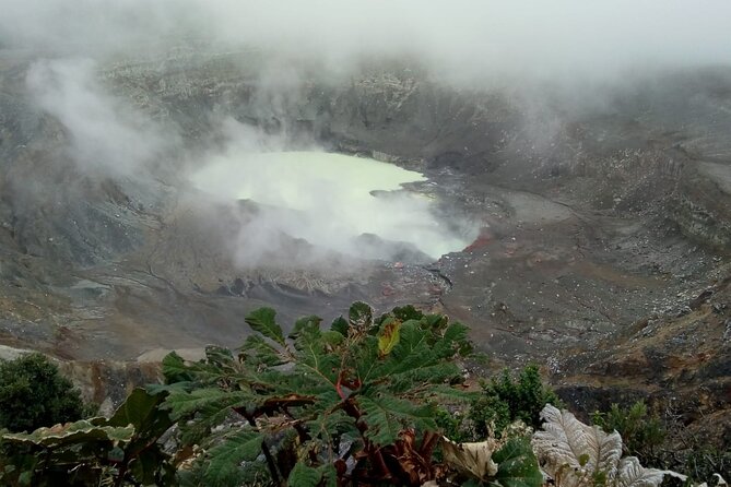 Poas Volcano waterfalls and coffee tour from from San Jose - Key points at a glance