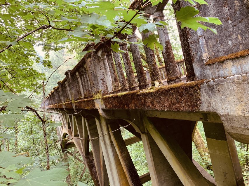 Portland: Columbia River Gorge Waterfalls Morning Tour - Is $85 a good value?