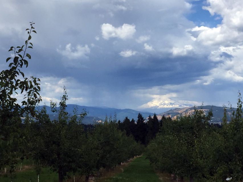 Portland: Mount Hood Wine and Waterfalls Full-Day Tour - Who should book this tour?