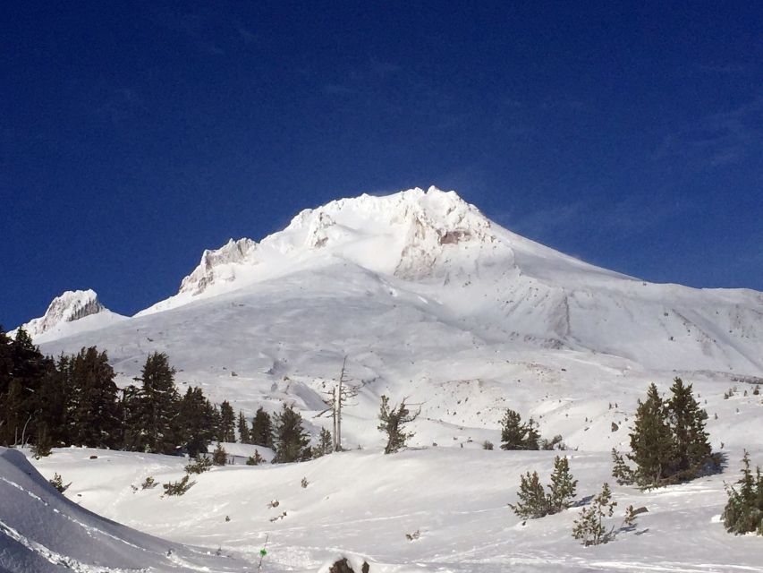 Portland: Mount Hood Wine and Waterfalls Full-Day Tour - Why this tour works as a Portland day trip