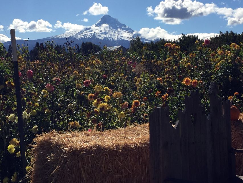 Portland: Mount Hood Wine and Waterfalls Full-Day Tour - The second winery and the cost of tasting