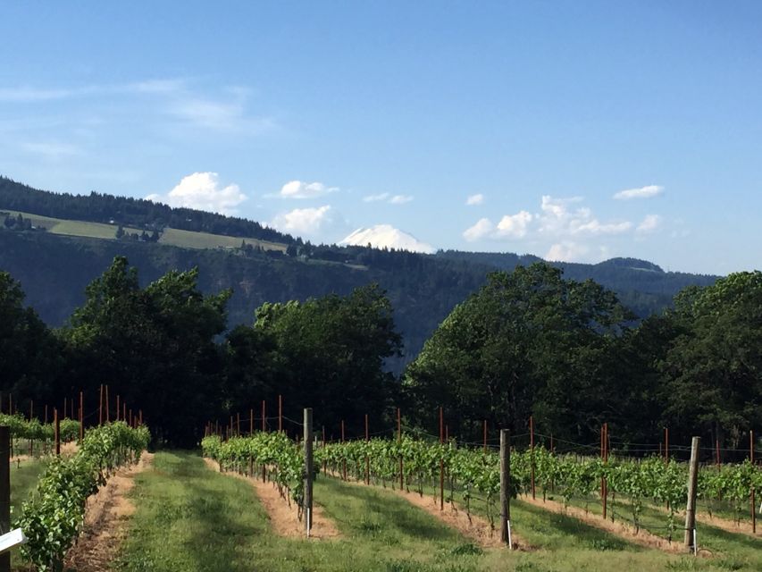 Portland: Mount Hood Wine and Waterfalls Full-Day Tour - Through the Columbia Gorge to Multnomah Falls