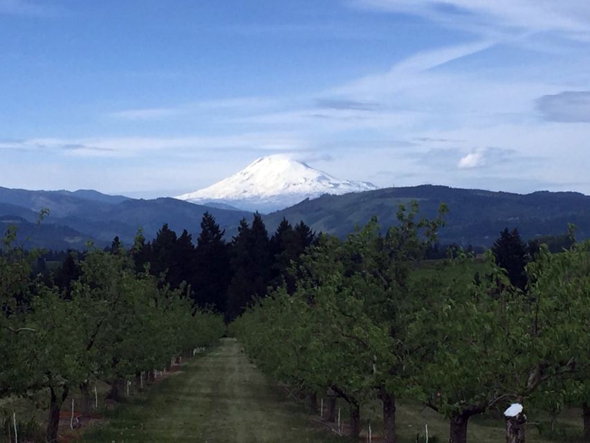 Portland: Mount Hood Wine and Waterfalls Full-Day Tour - Guides are a major part of the experience