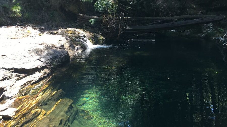 Porto and North coast Exclusive & Secret Waterfalls in 4x4 - Price, Group Size, and Overall Value
