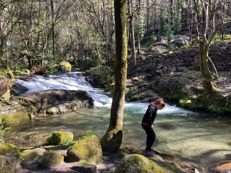 Porto: Forest Waterfalls & Roman Ruins Trail Tour - Why this Porto outing feels different