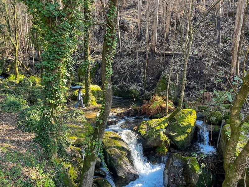 Porto: Forest Waterfalls & Roman Ruins Trail Tour - Moving from forest to Castro Monte Padrão