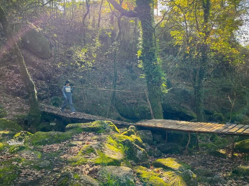 Porto: Forest Waterfalls & Roman Ruins Trail Tour - What João adds to the walk