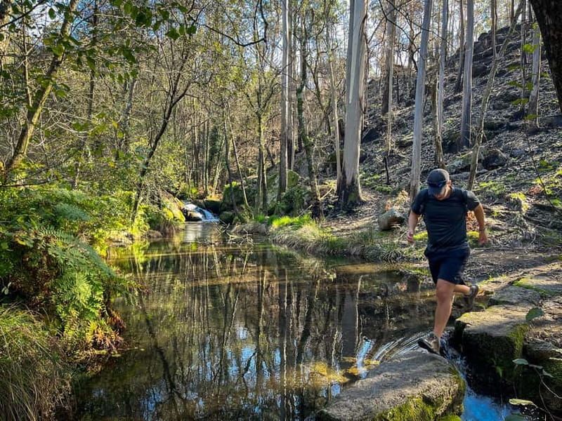 Porto: Forest Waterfalls & Roman Ruins Trail Tour - Pickup from Porto and return to the city