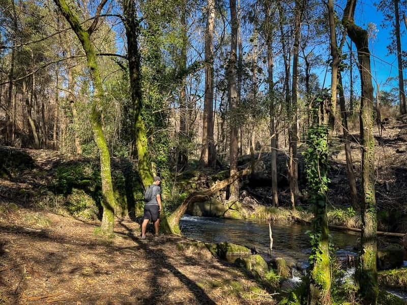 Porto: Forest Waterfalls & Roman Ruins Trail Tour - Is $76 a fair price?