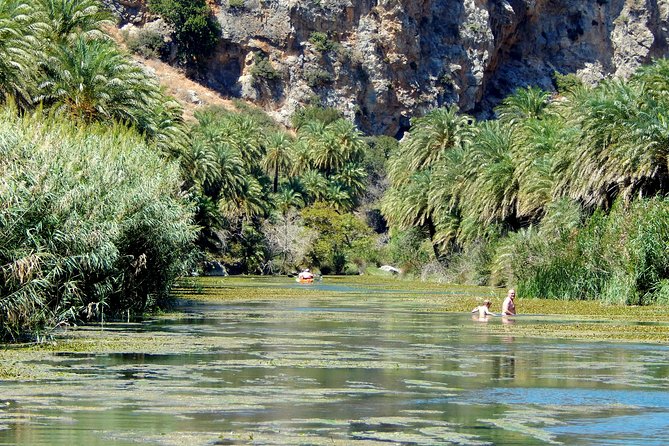 Preveli Beach and Damnoni Kourtaliotikowaterfalls from Rethymno - Preveli Beach, palm trees and two hours by the water